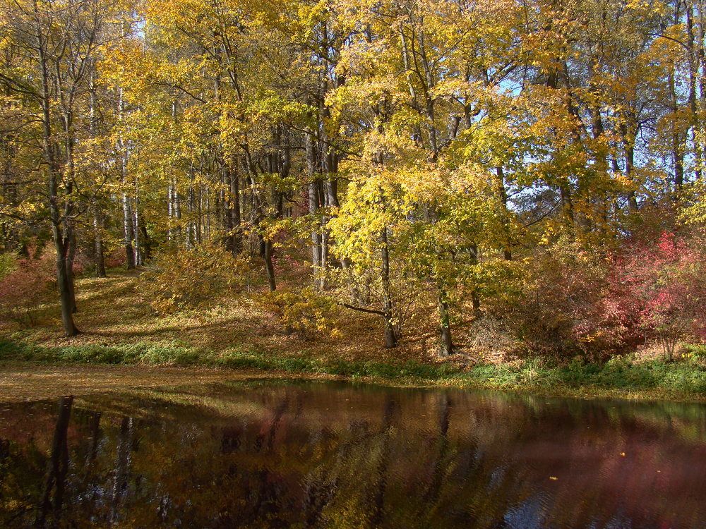 Photograph by Zakharov Matvey