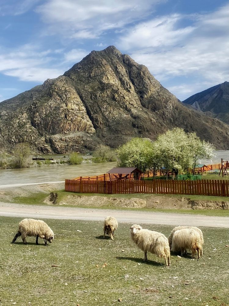 Photograph by Вадим Качанов