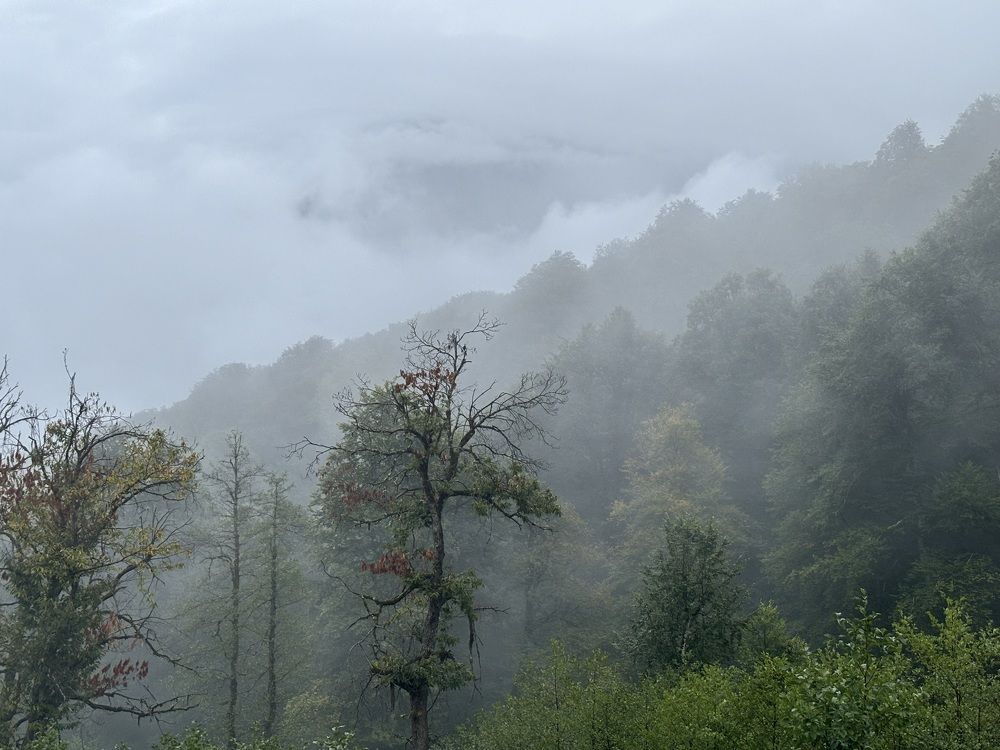 Photograph by Марина Губская