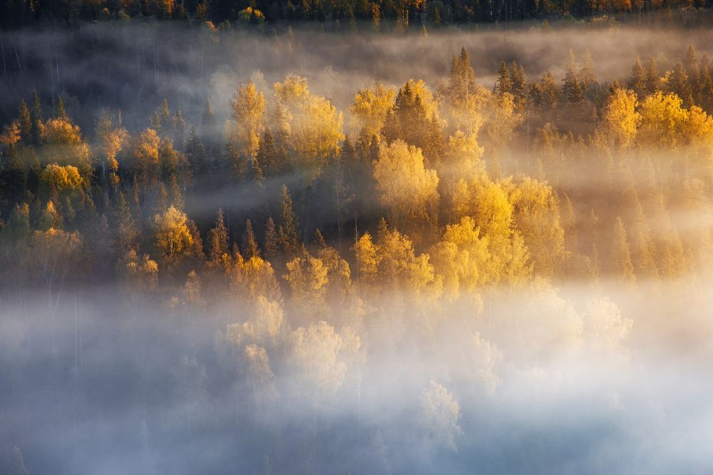 Photograph by Соколова Елена