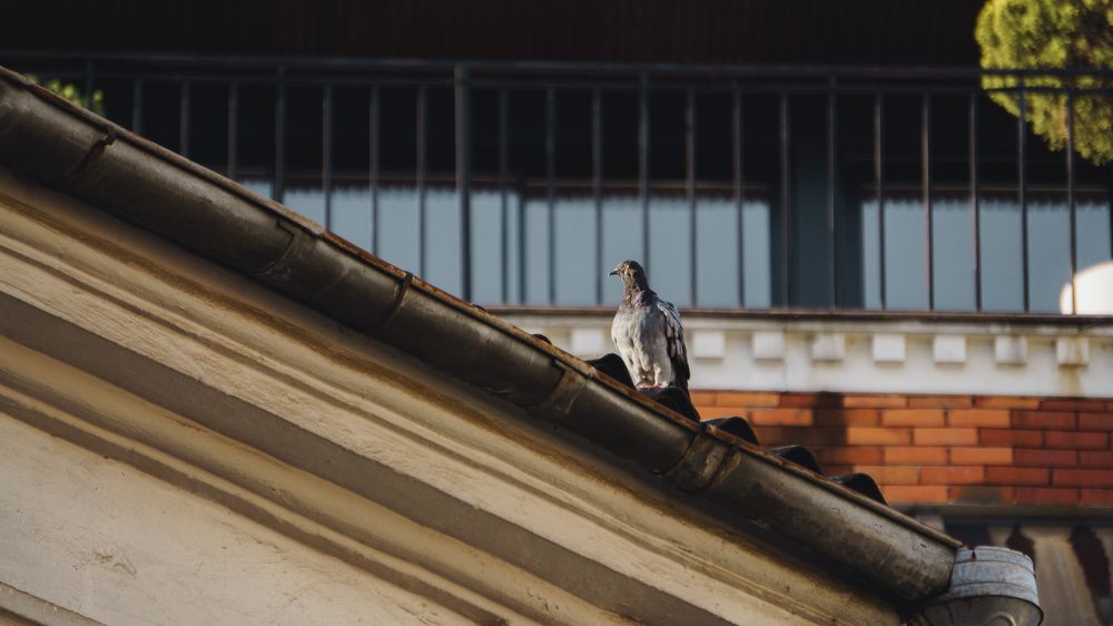 Photograph by Vadzim Darafei