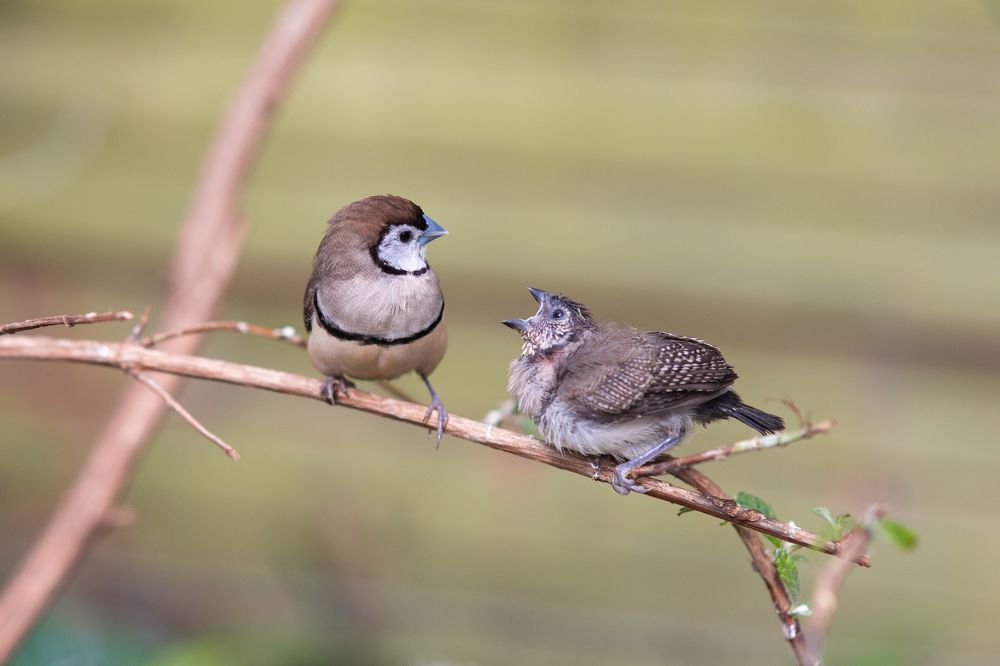 Photograph by Антон Скоморохов