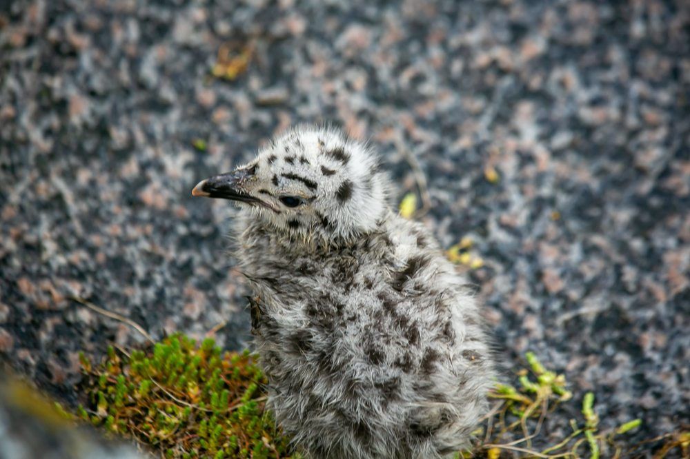 Photograph by Очева Наталья Александровна