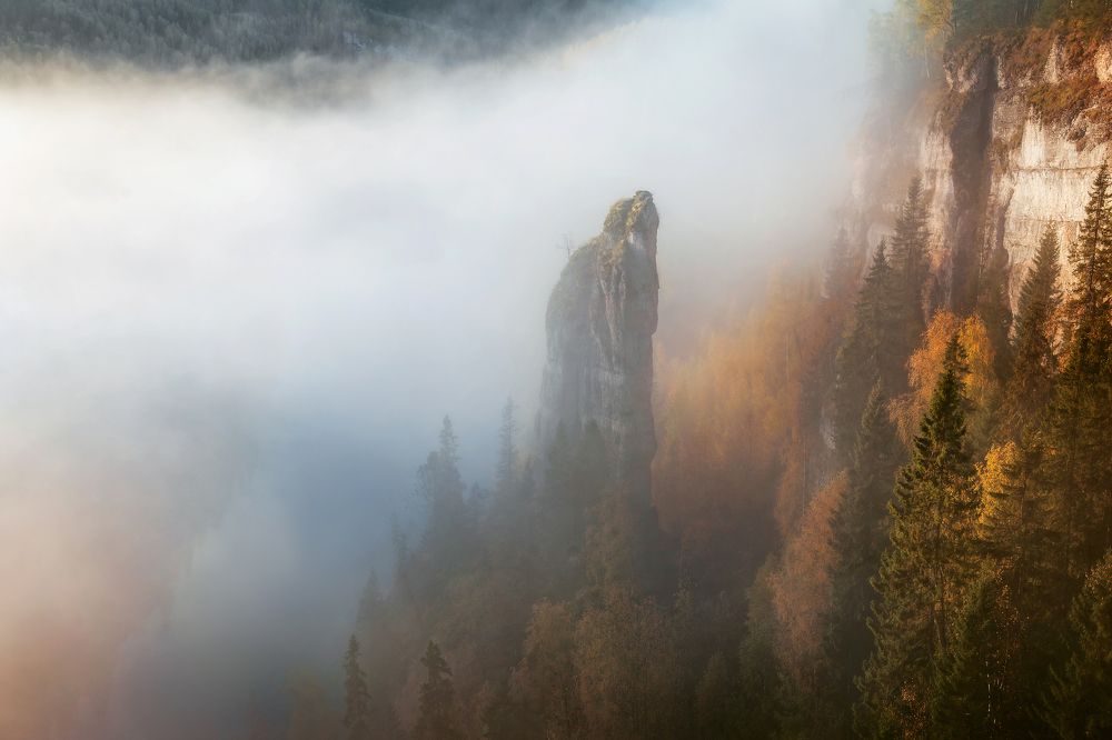 Photograph by Соколова Елена