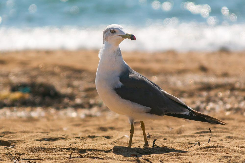 Photograph by Очева Наталья Александровна