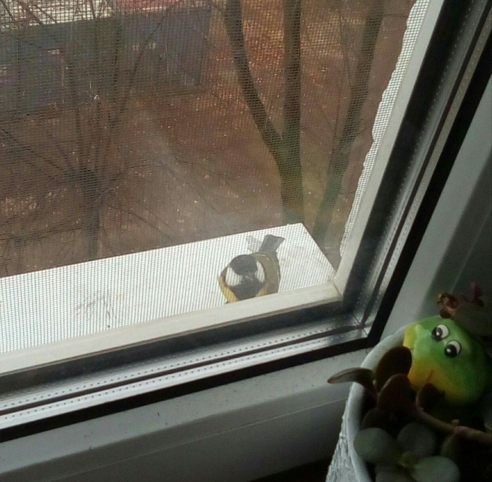 Фотография автора Наталья Драгун