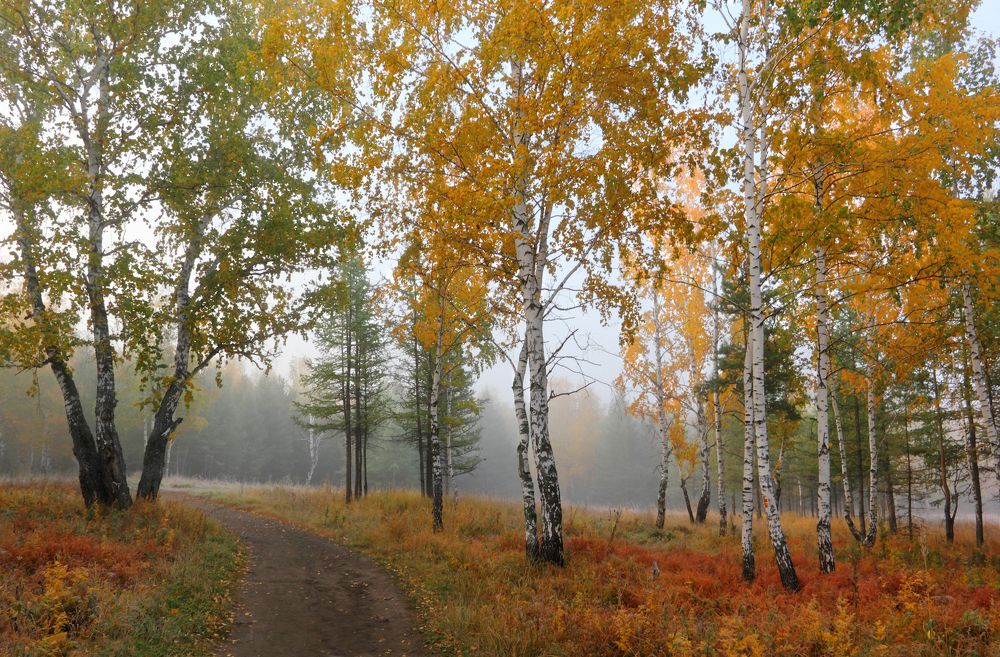 Фотография автора Кухта Мария