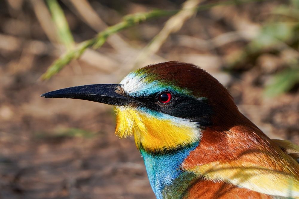 Photograph by Андрей Черкасов