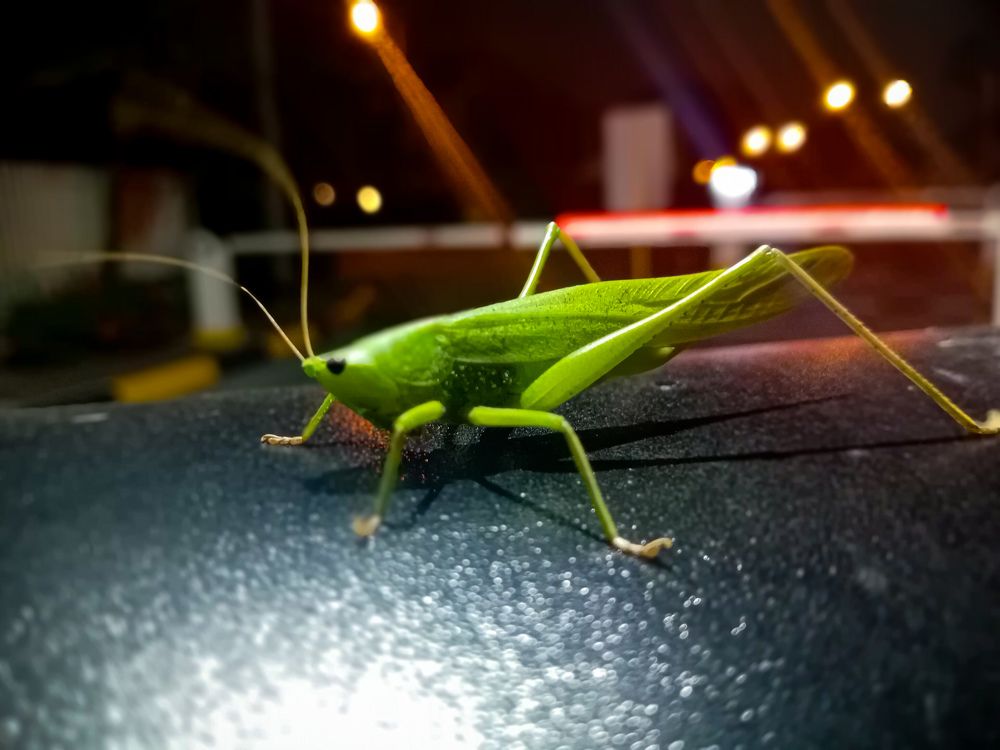 Photograph by francisco caicedo