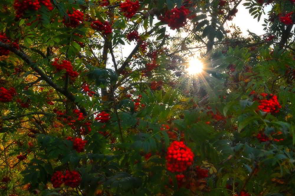Photograph by Александр Беляков
