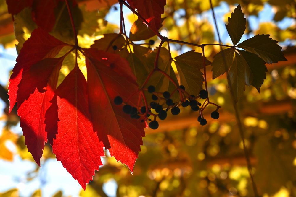 Photograph by Александр Беляков
