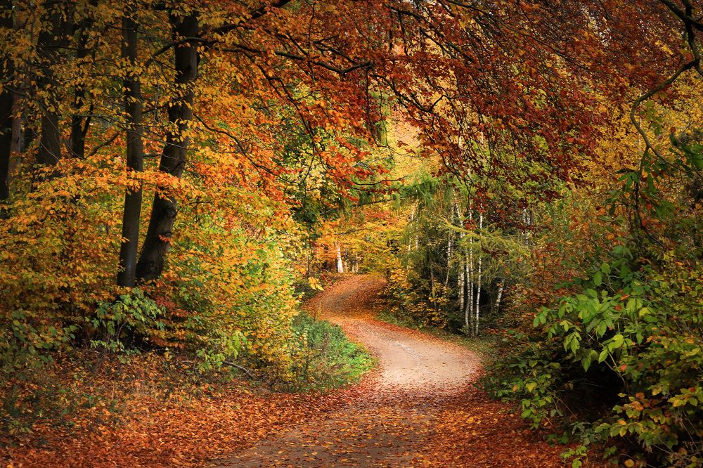 Photograph by Яна