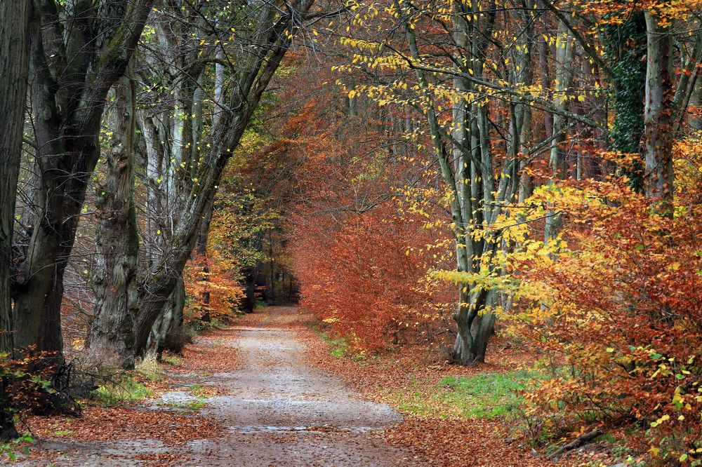 Photograph by Яна