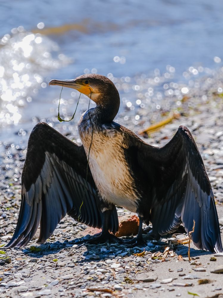 Photograph by Yuliya Karpova