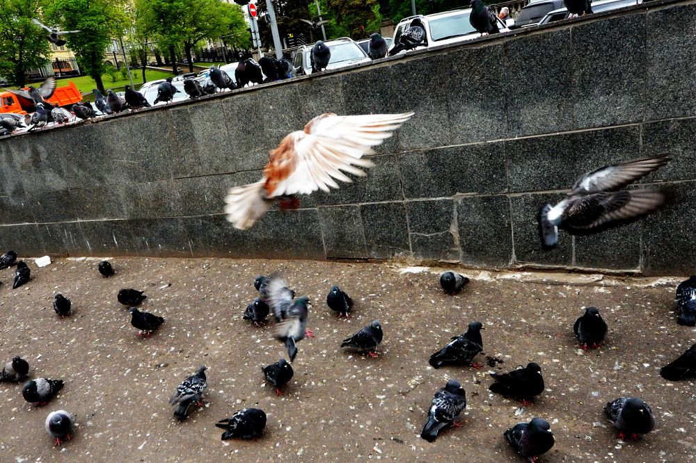 Photograph by Вадим Гераскин