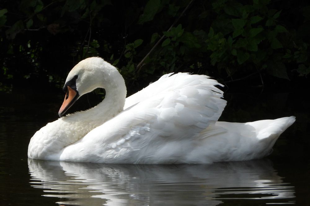 Photograph by DMITRIY DULIN