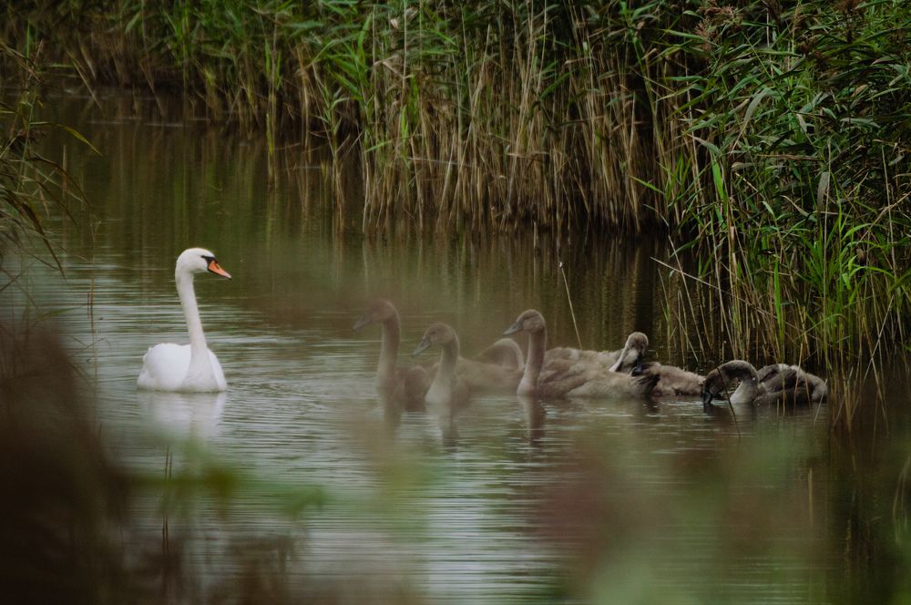 Фотография автора Мария Михайлова