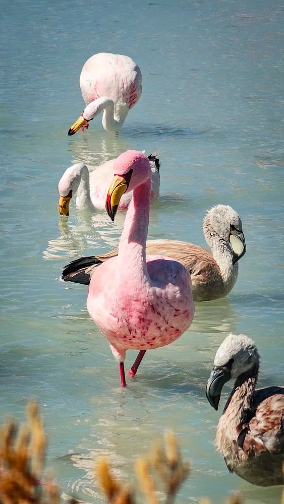 Photograph by Ludwin siles