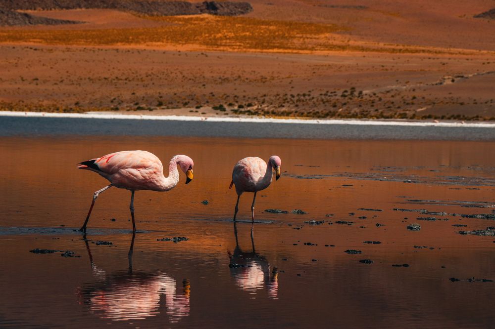 Photograph by Ludwin siles