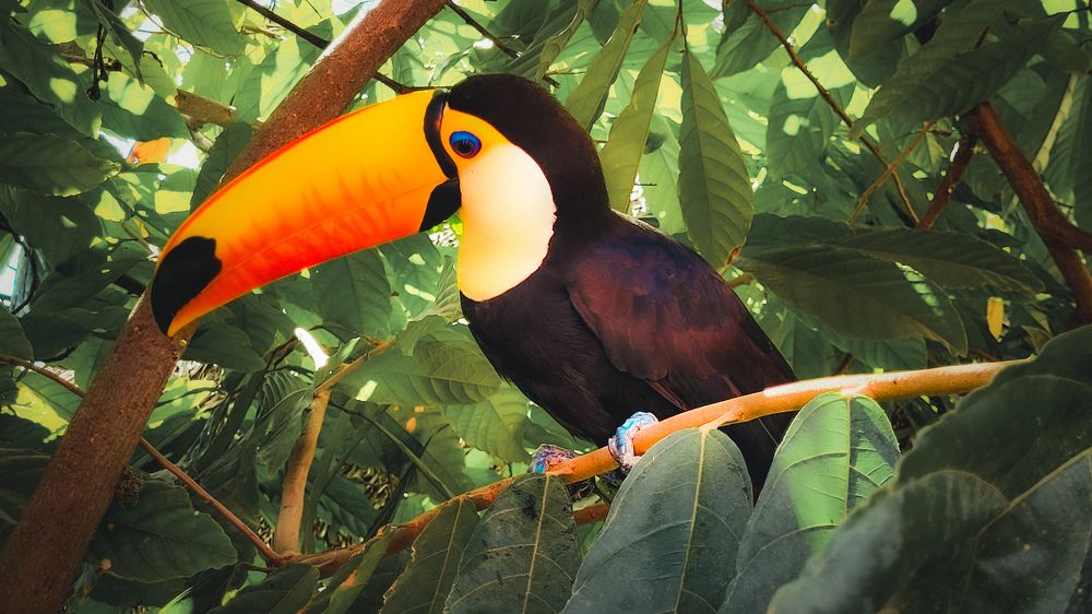 Photograph by Ludwin siles