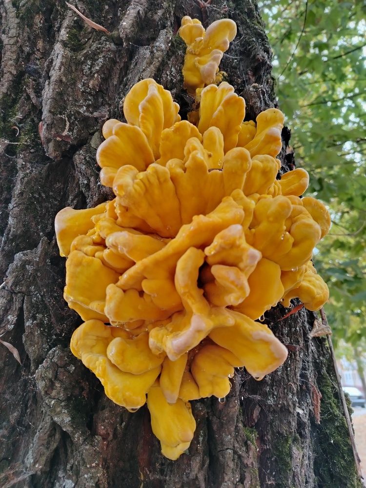 Photograph by Екатерина Познякова