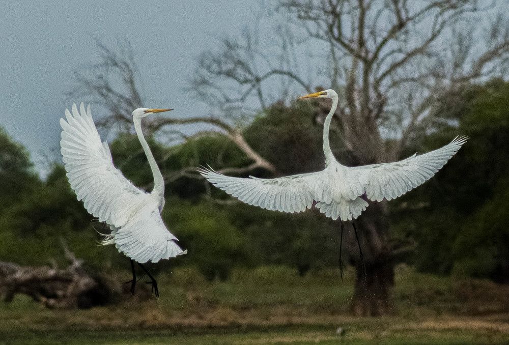 Photograph by Anantharajha Manoj