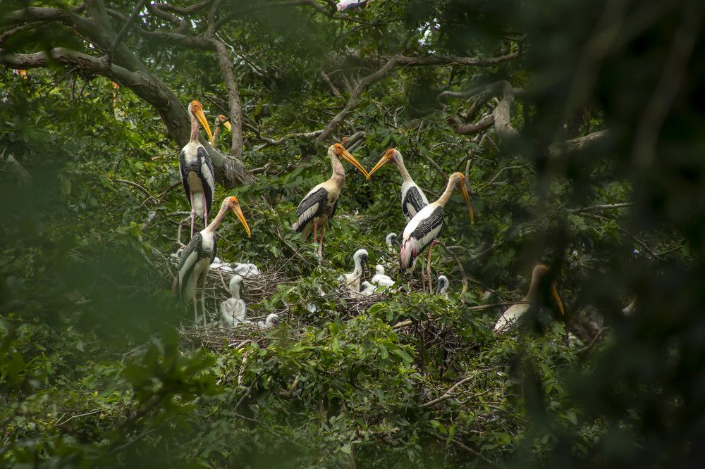 Photograph by Anantharajha Manoj