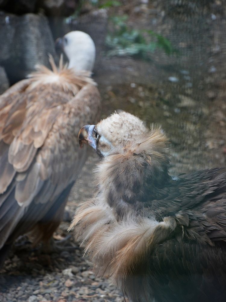 Photograph by Дарья Кирина