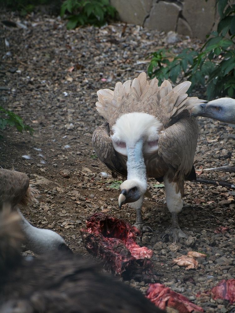 Photograph by Дарья Кирина