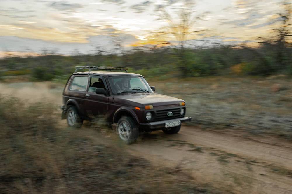 Фотография автора Елена Ефименко