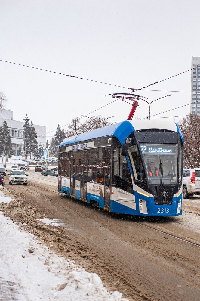 Фотография автора Елена Ефименко
