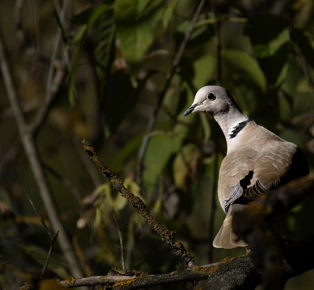 Photograph by Andrey Anikanov