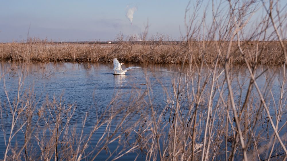 Фотография автора Елена Ефименко