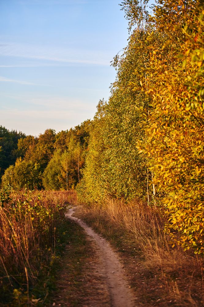 Photograph by Константин Федяев