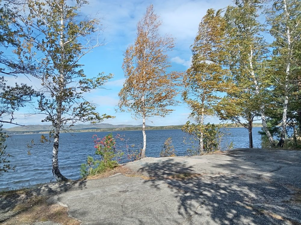 Берег озера Иртяш