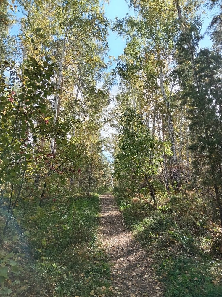 Photograph by Наталья Сырых