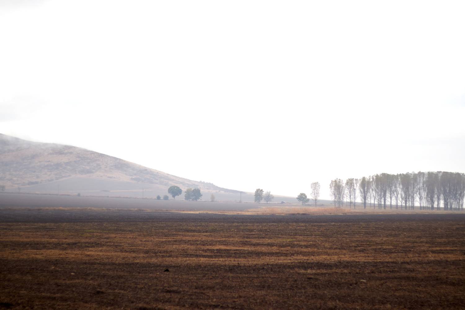 Photo #11089968