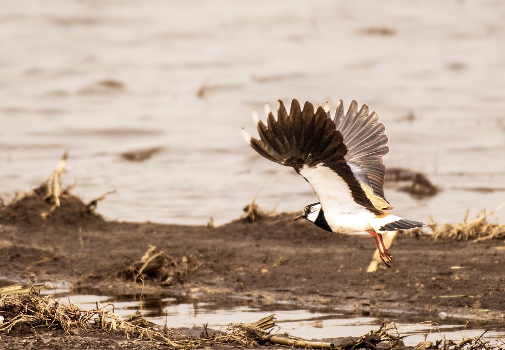 Photograph by Andrey Anikanov