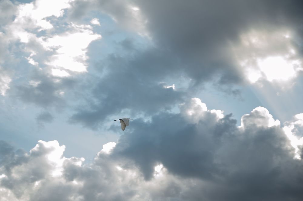 Фотография автора Елена Ефименко