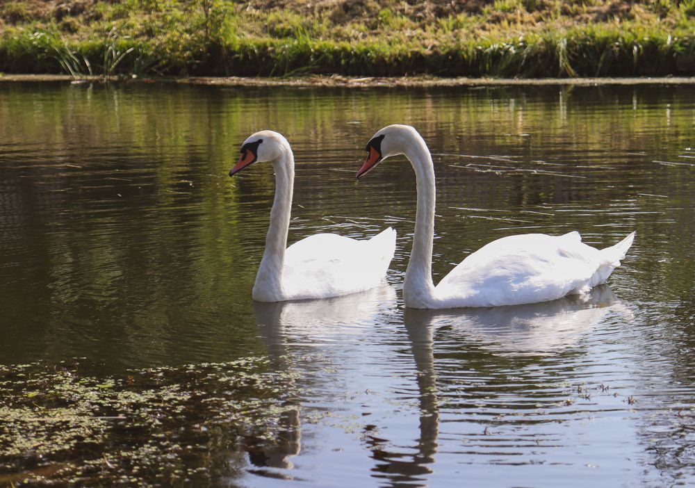 Photograph by Елена Рудкевич