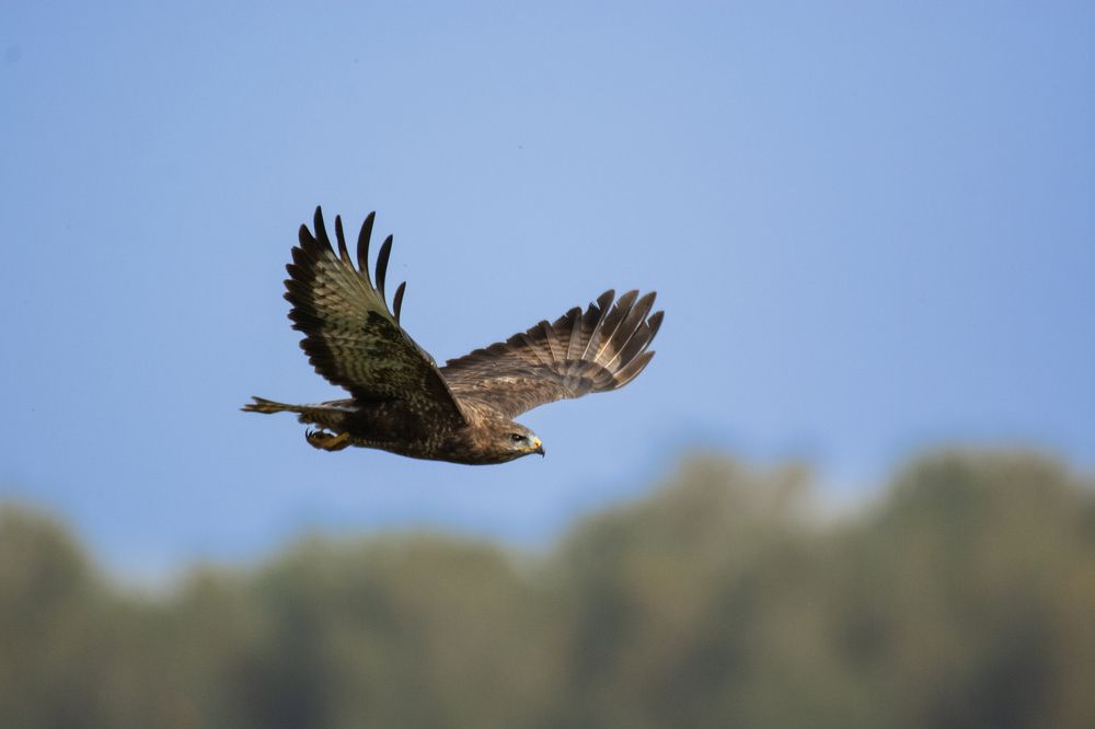 Photograph by Andrey Anikanov