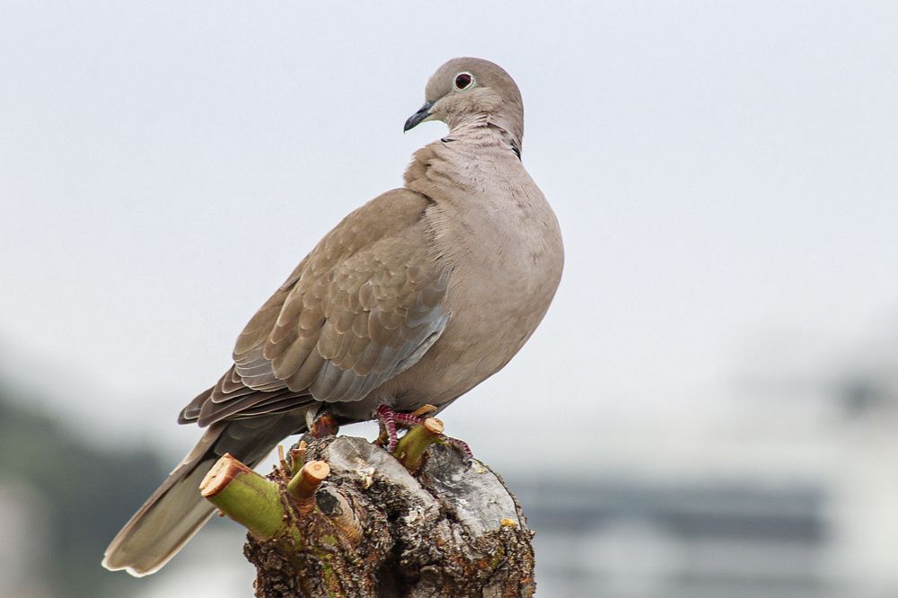 Photograph by Елена Рудкевич