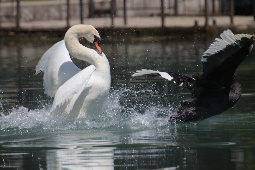 Photograph by Елена Рудкевич