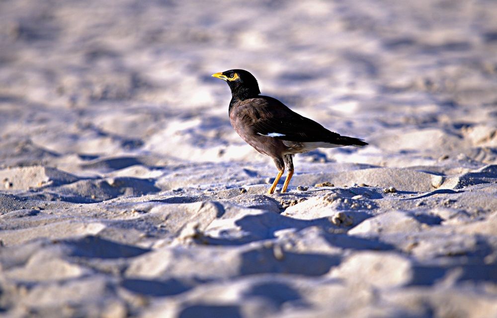 Photograph by Сергей Рапопорт