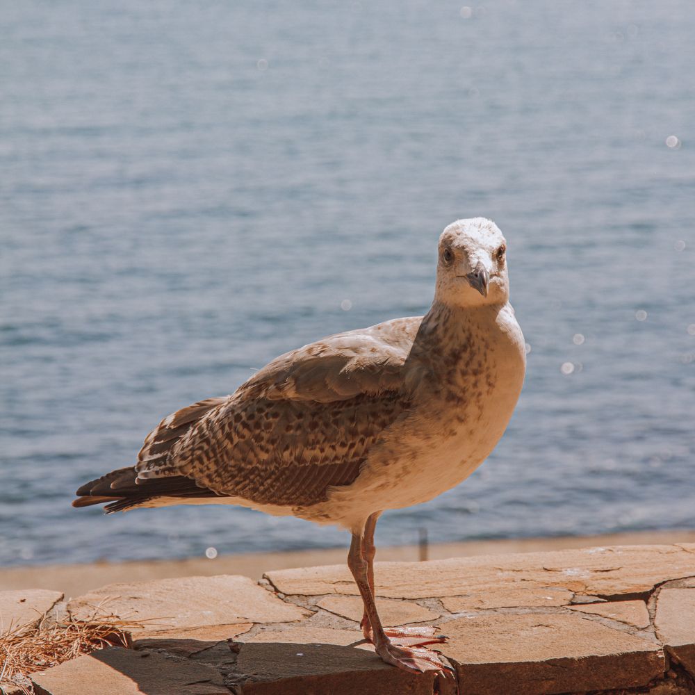 Photograph by Даниил Петруненко