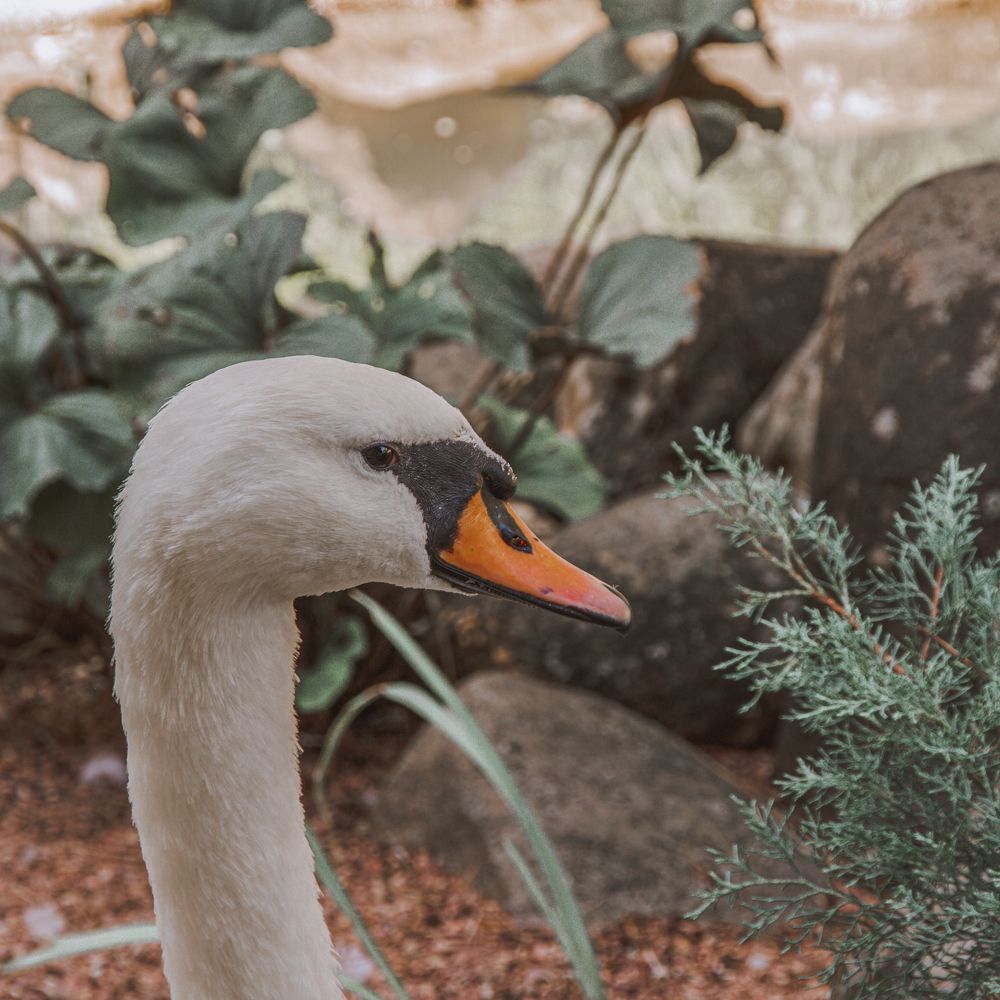 Photograph by Даниил Петруненко