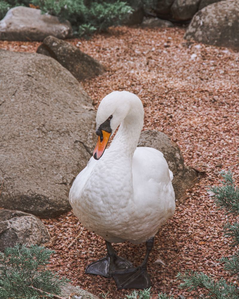 Photograph by Даниил Петруненко