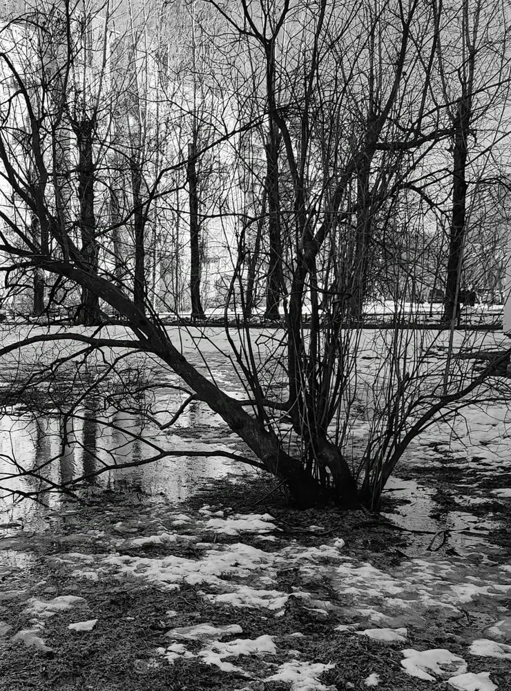 Весна в городе