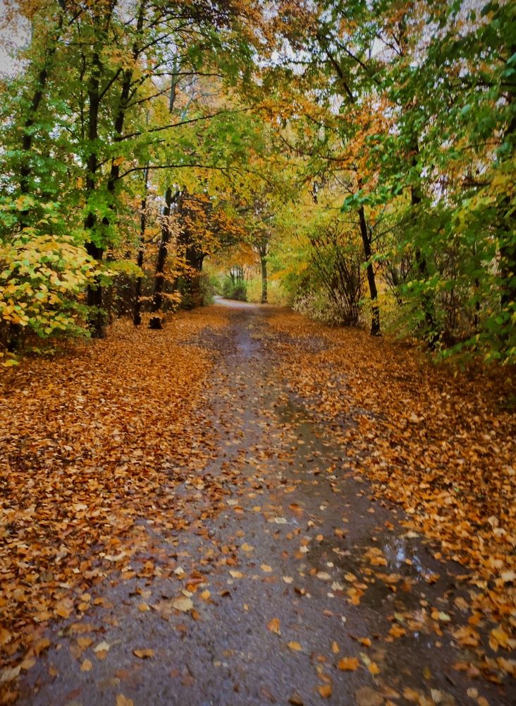 Photograph by Swetlana Brumm