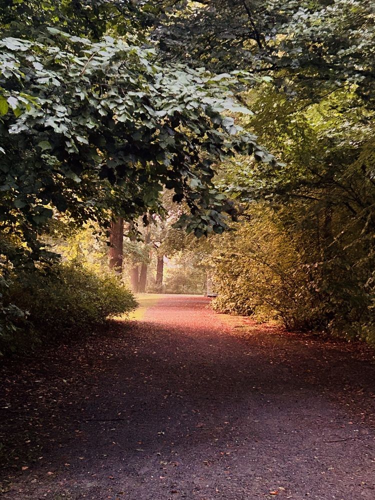 Photograph by Swetlana Brumm